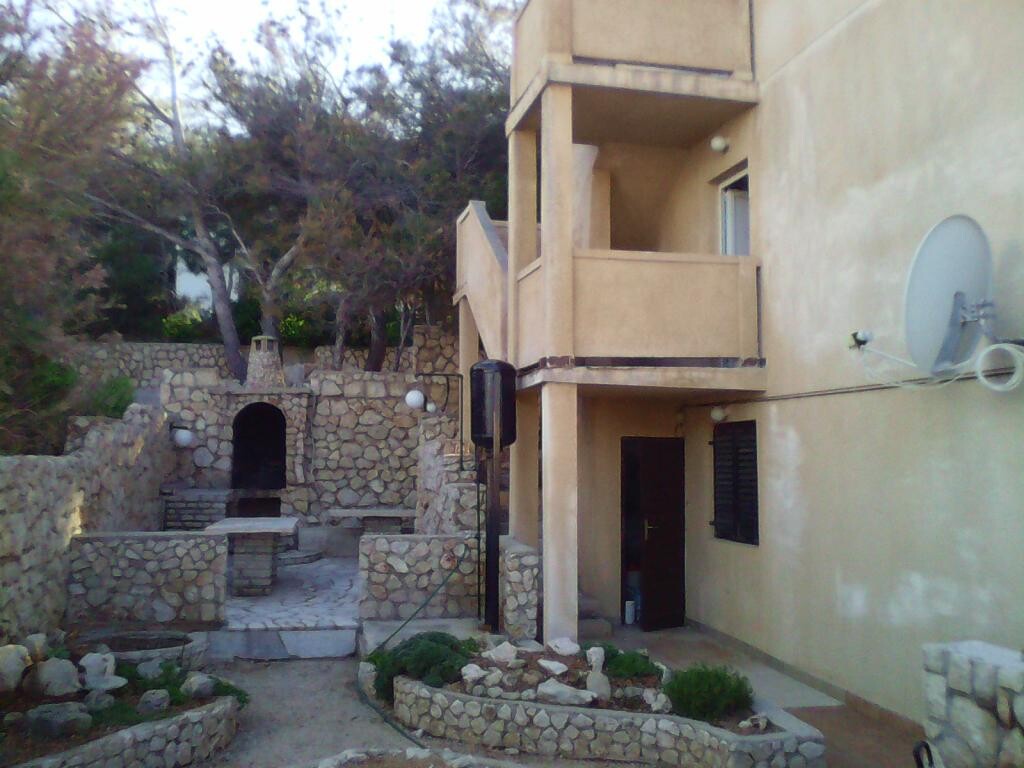 Image 7
