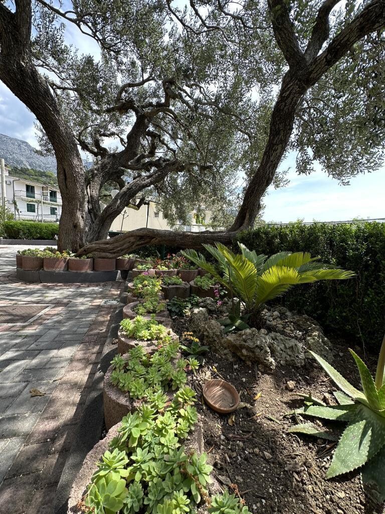 Image 15