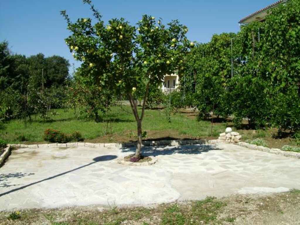 Image 3810689 - 20
