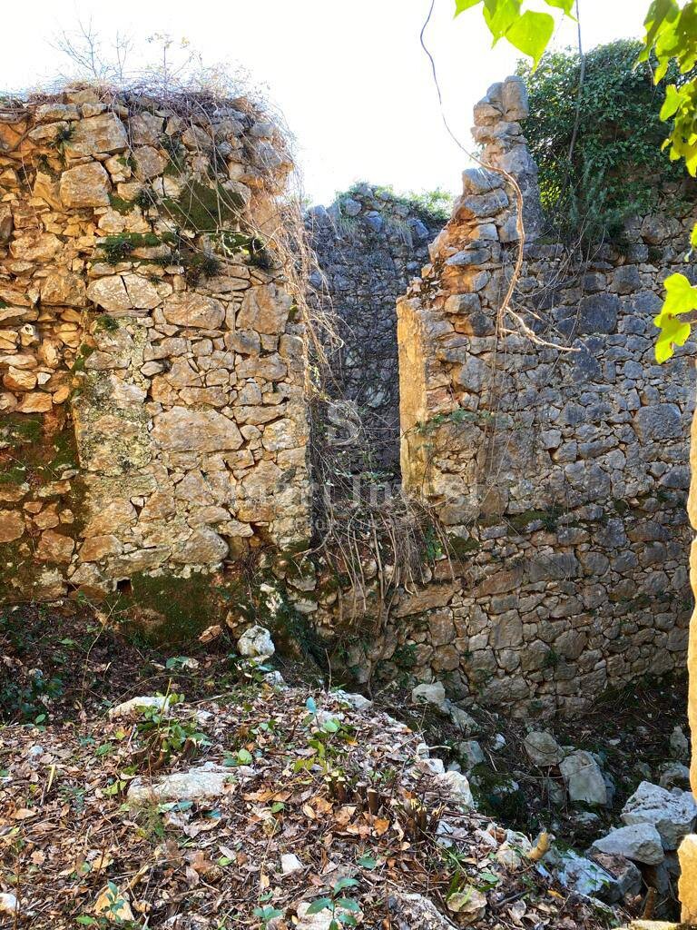 Image 24