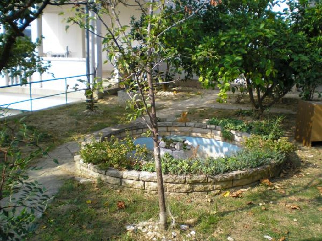 Image 3811211 - 6