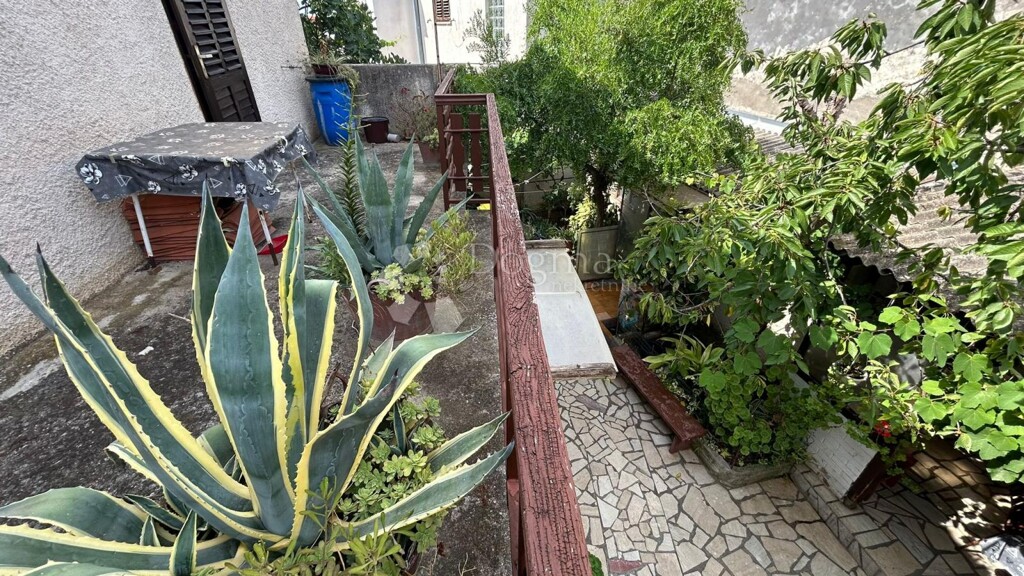 Image 13
