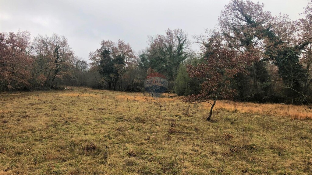 Image 18