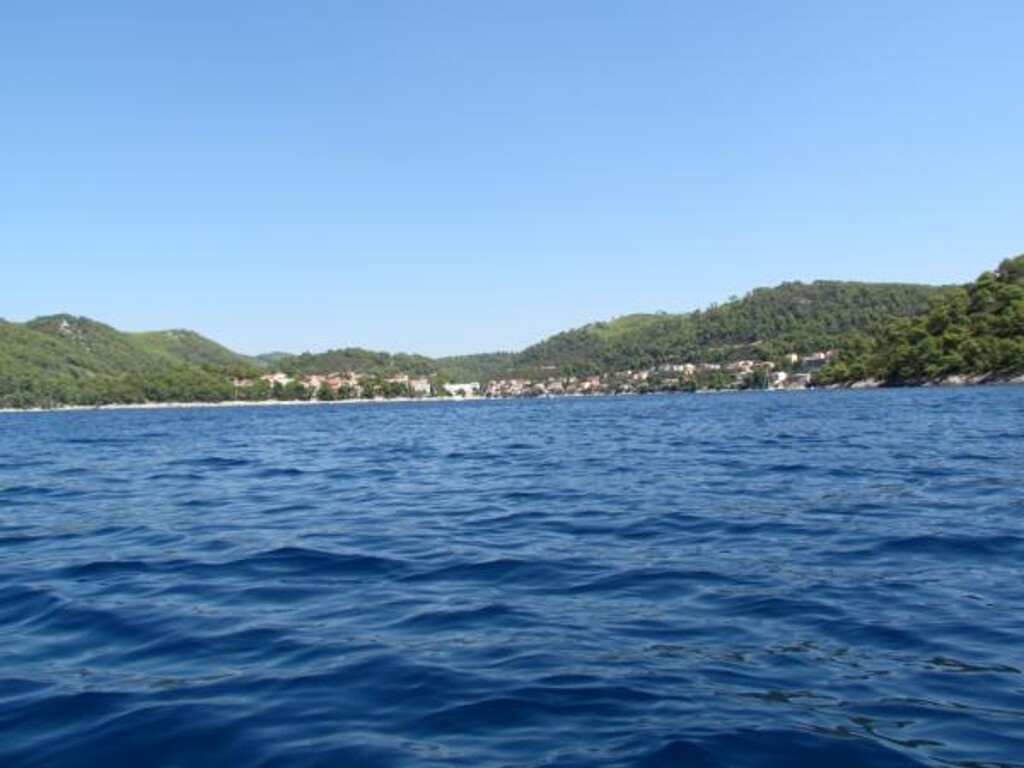 Image 3810888 - 22