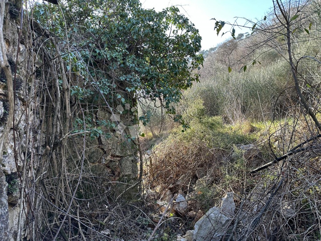 Image 18