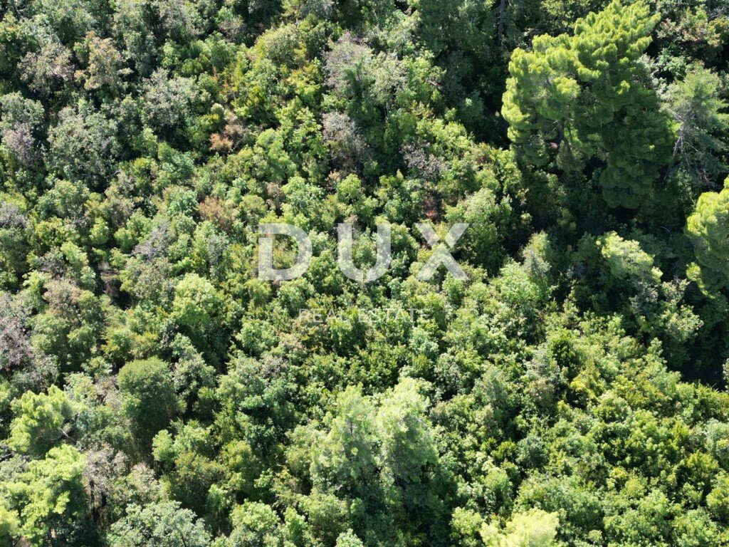 Image 17