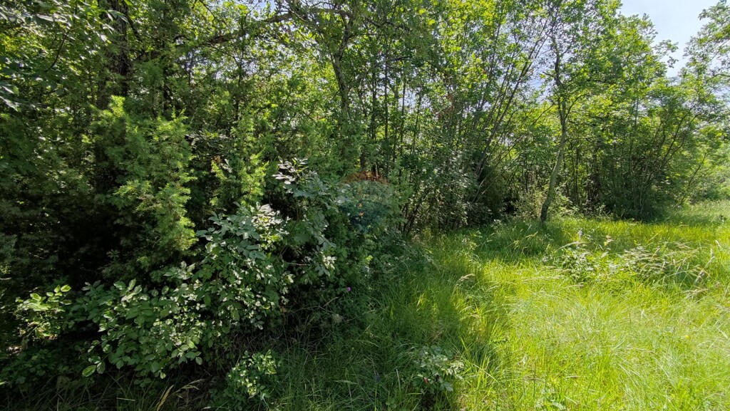 Image 5429736 - 2