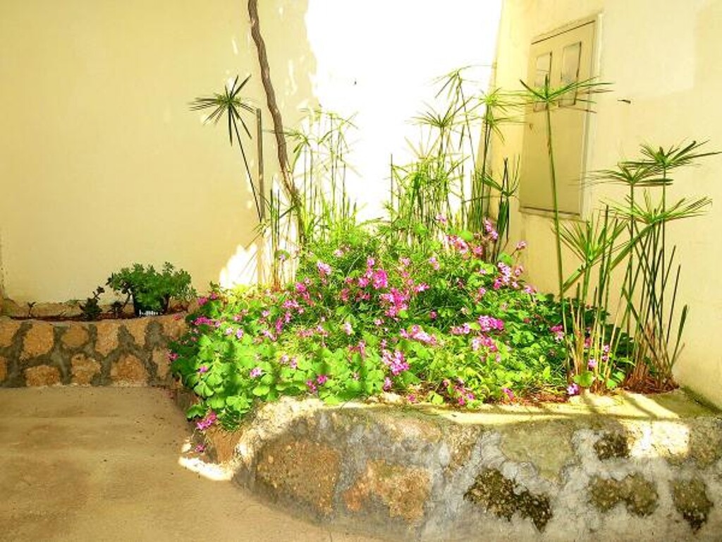 Image 3813546 - 5