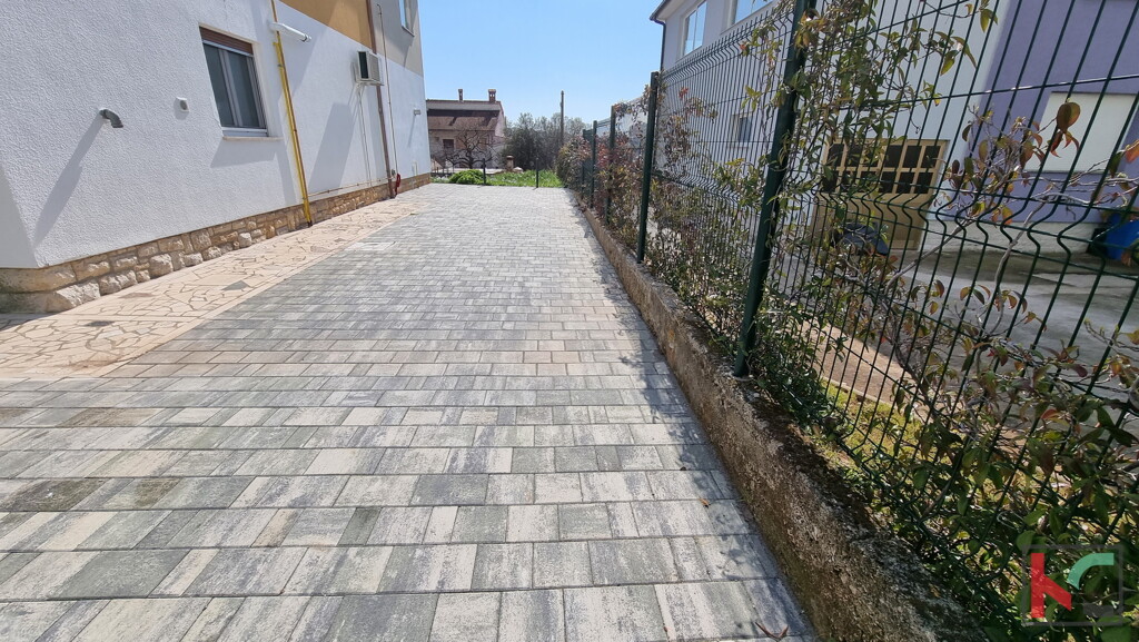 Image 19