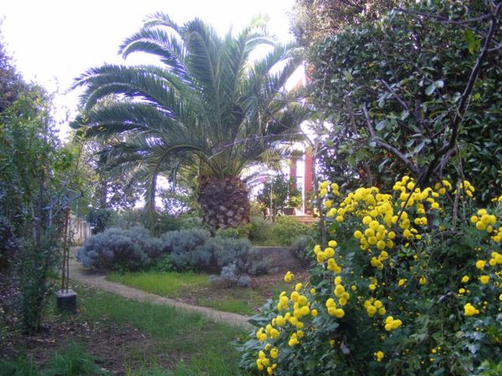 Image 3812266 - 3
