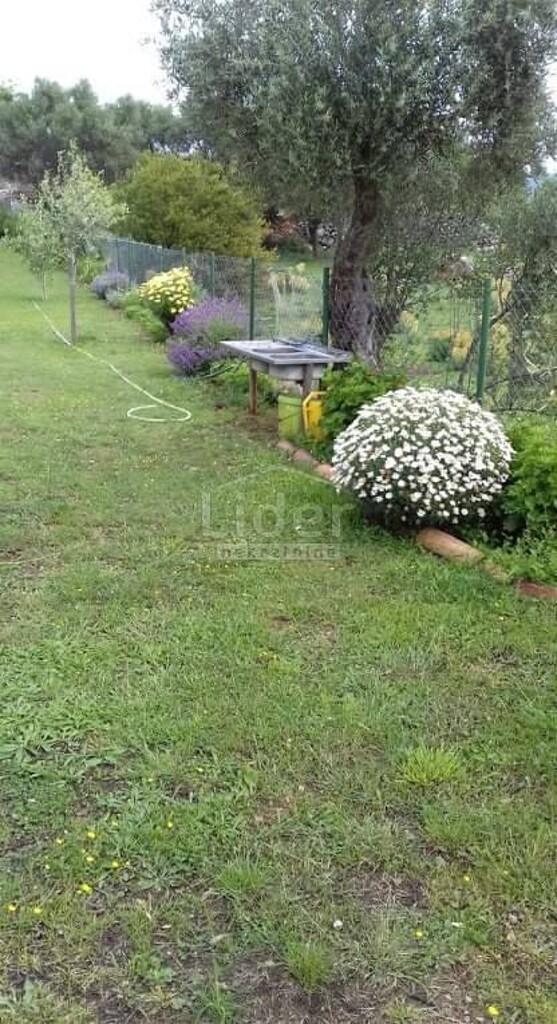 Image 14
