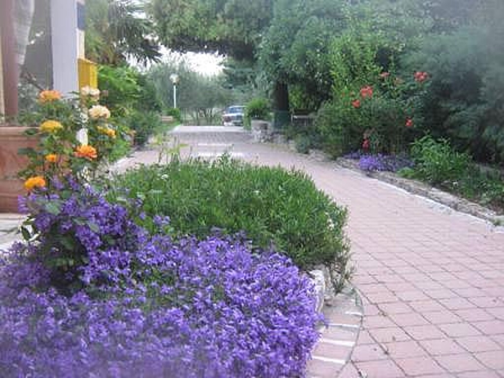 Image 3810665 - 7