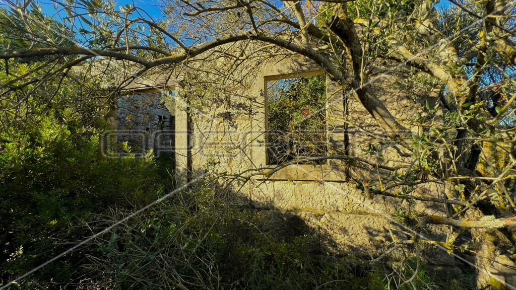 Image 6158224 - 2