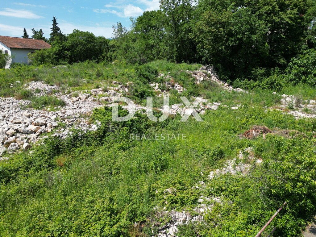 Image 24