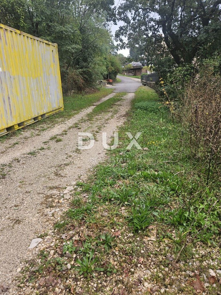 Image 13