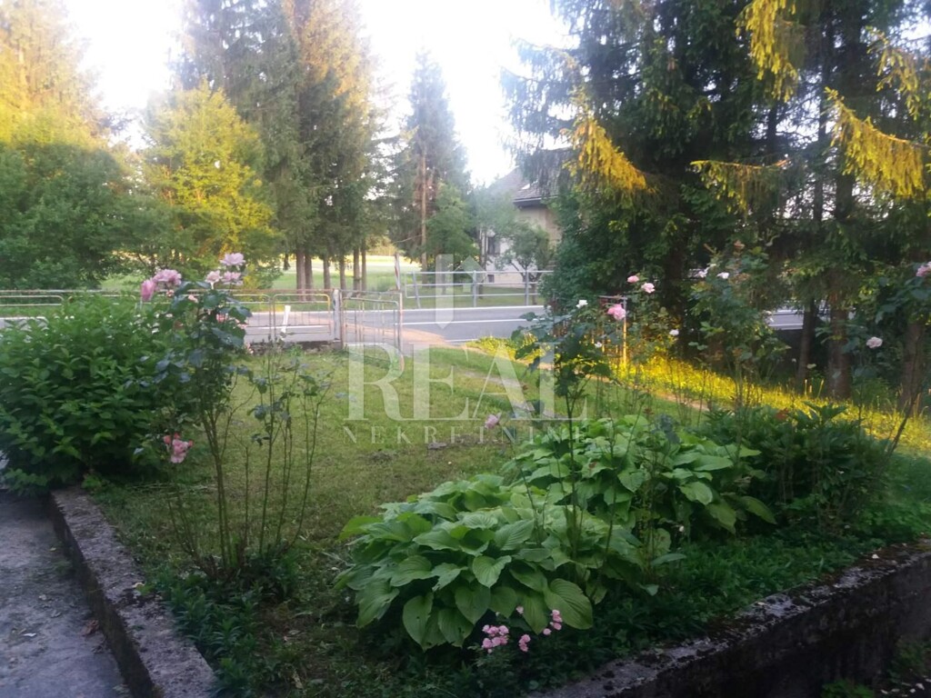 Image 21