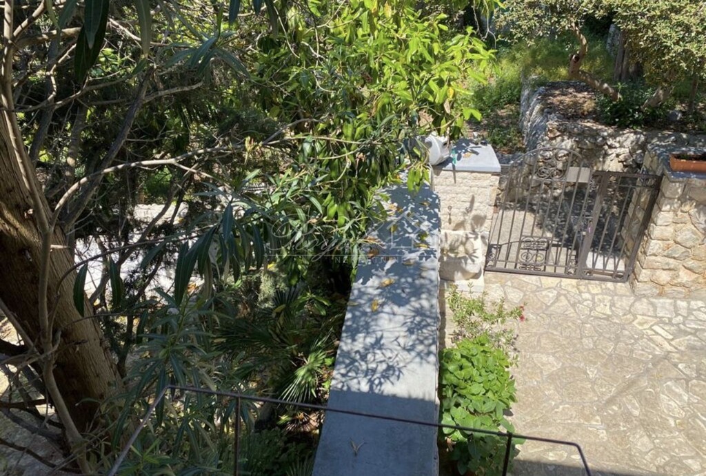 Image 15
