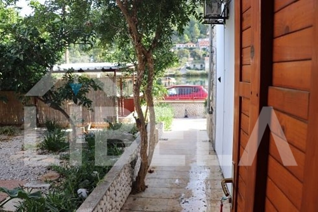 Image 11