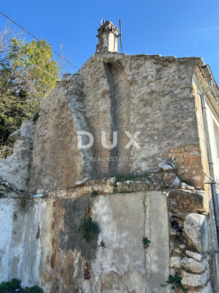 Image 16
