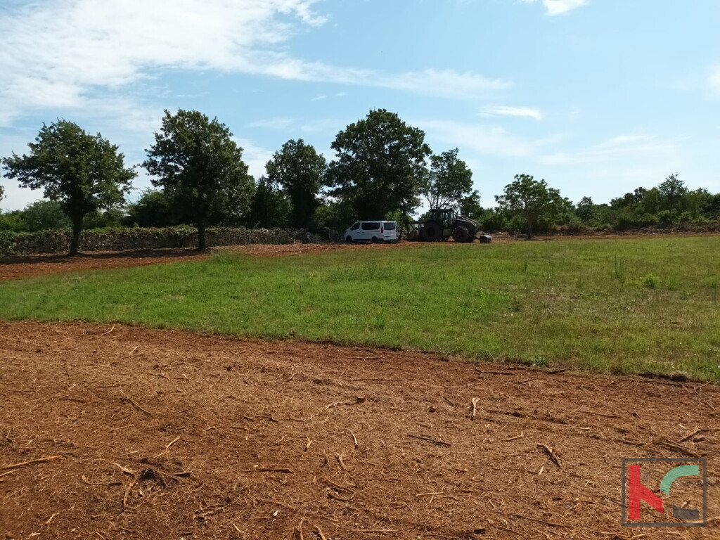 Image 15