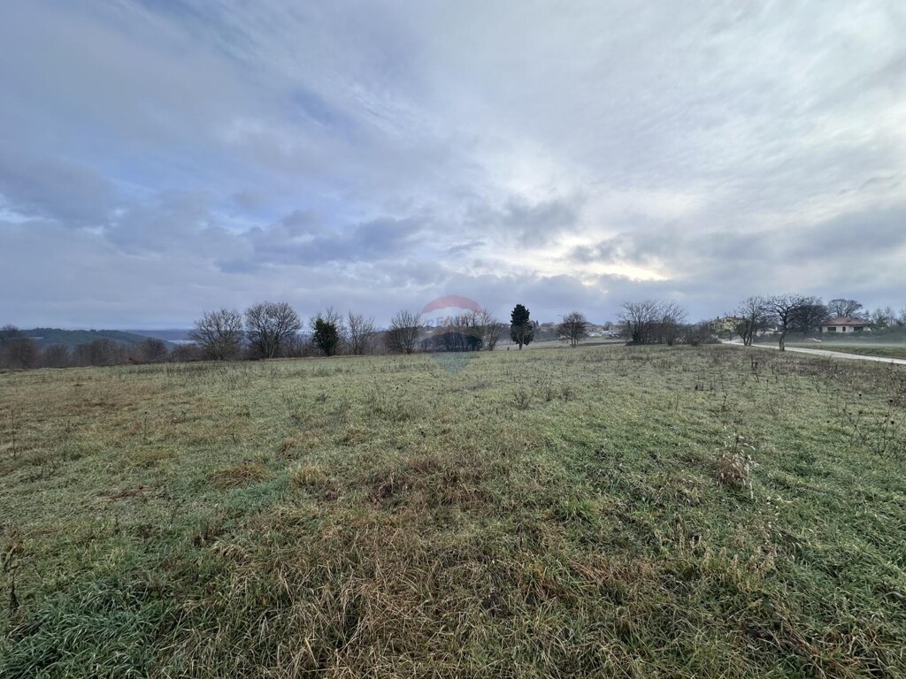 Image 5428921 - 2