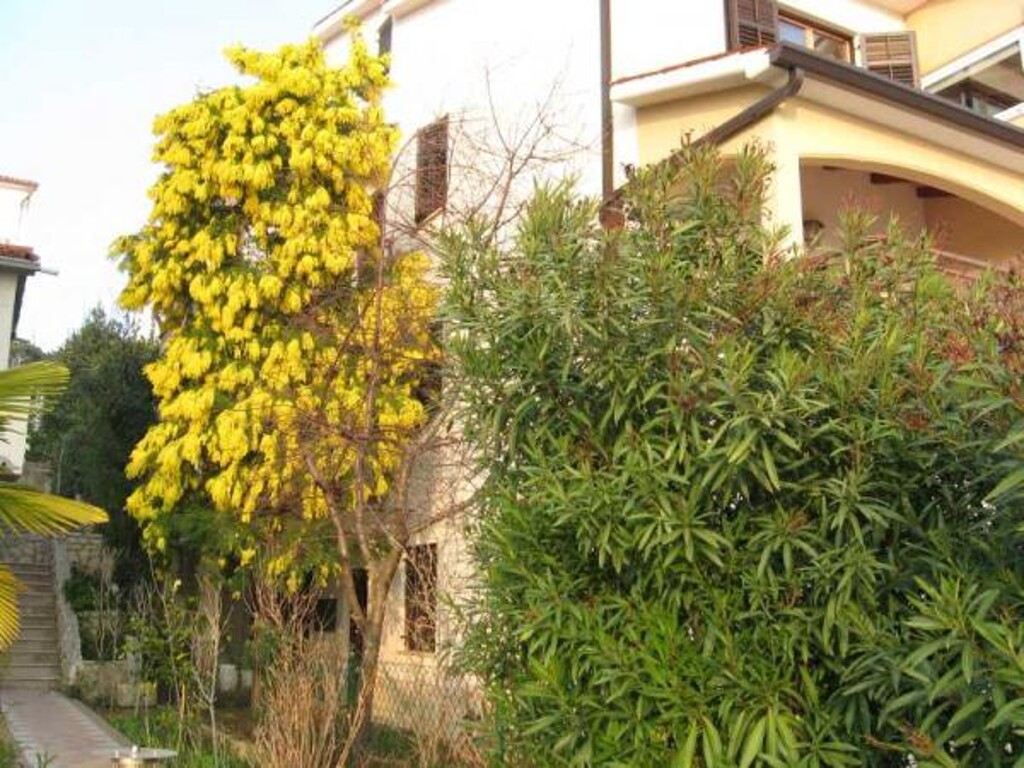 Image 3838544 - 8
