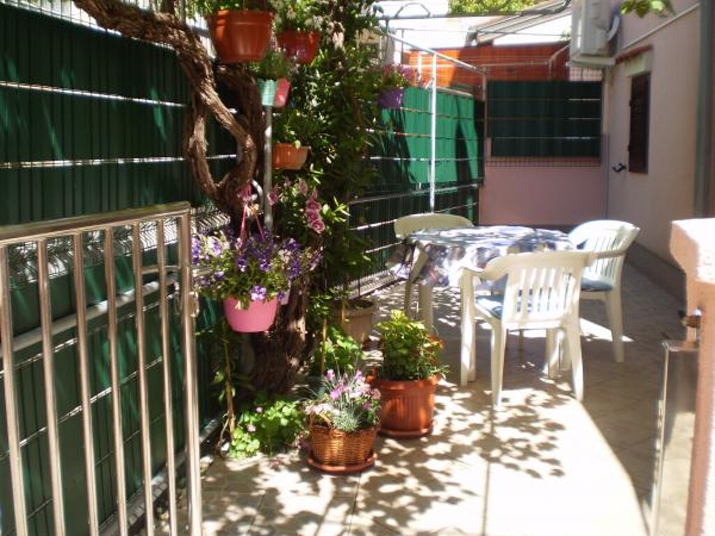 Image 3832193 - 6
