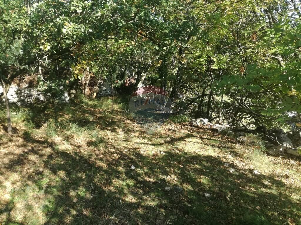 Image 5410232 - 9