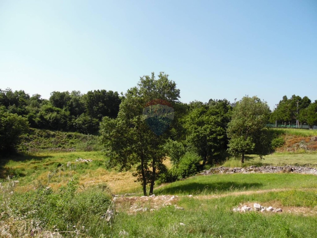Image 5443570 - 5