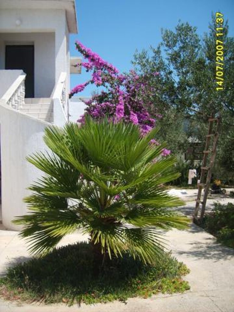 Image 3838612 - 9