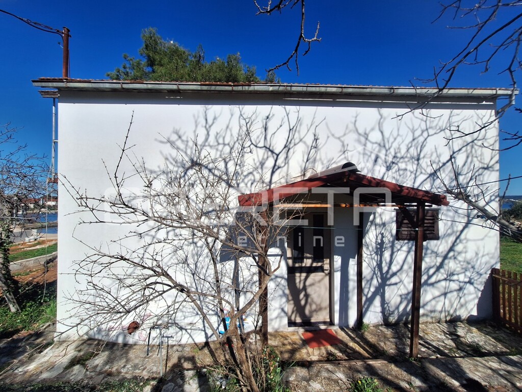 Image 11