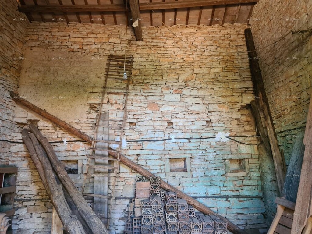 Image 9