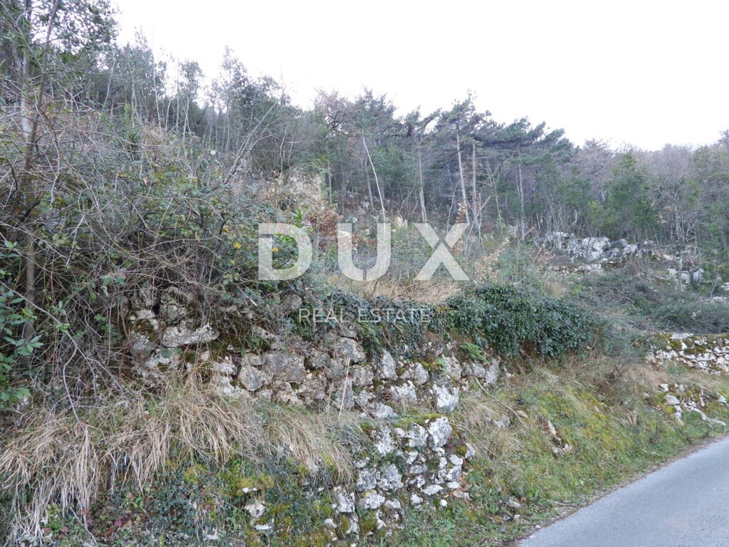 Image 22