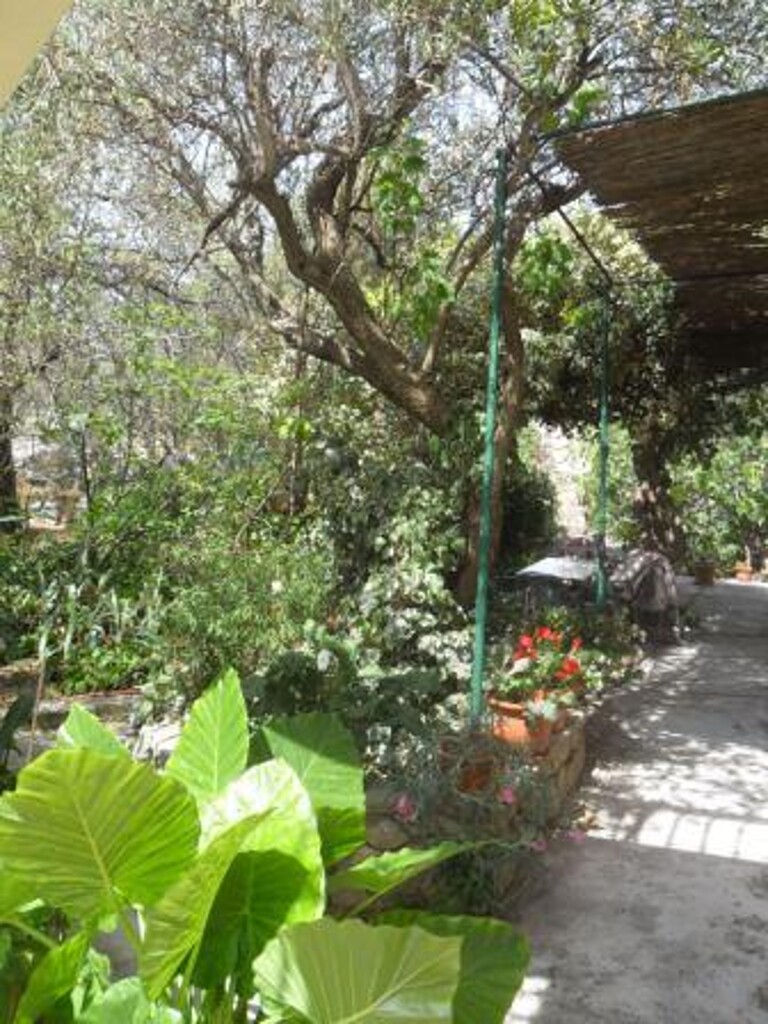 Image 3814524 - 10