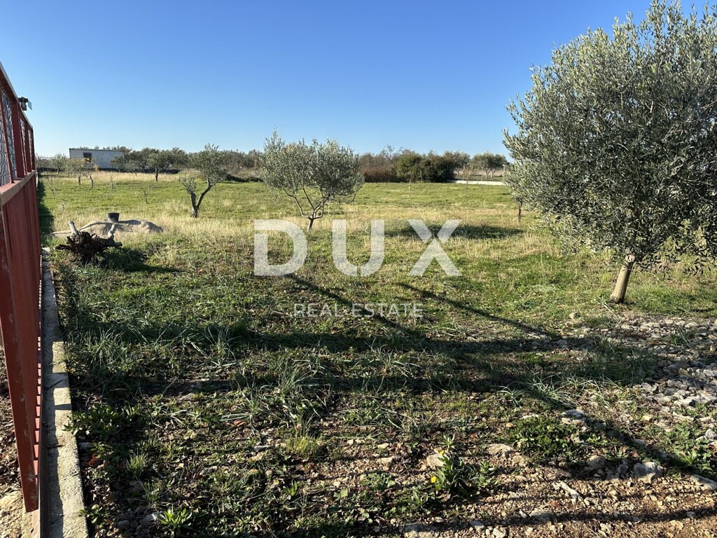Image 10