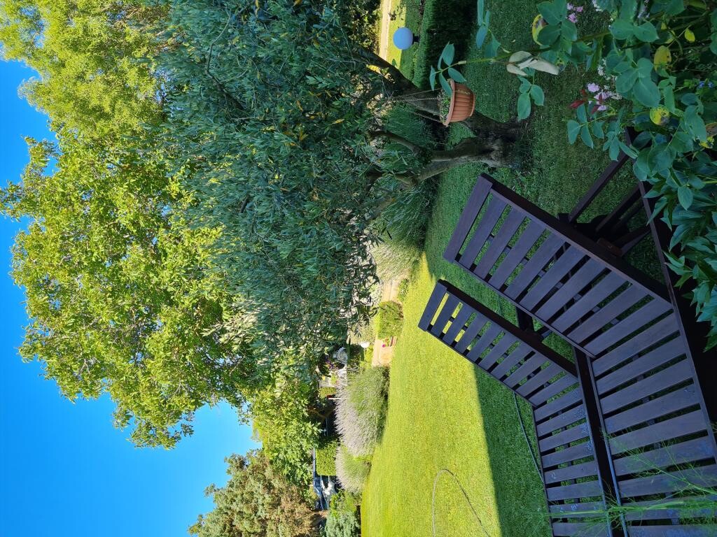 Image 20