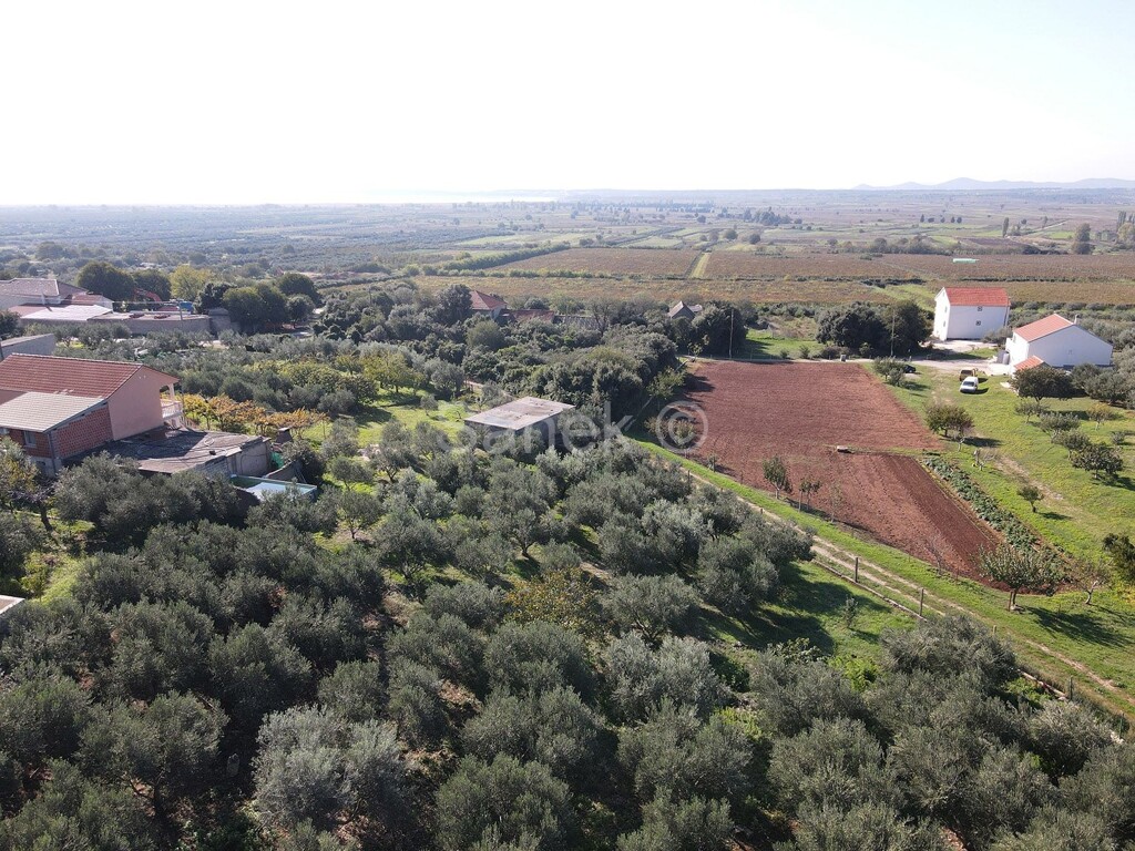 Image 18