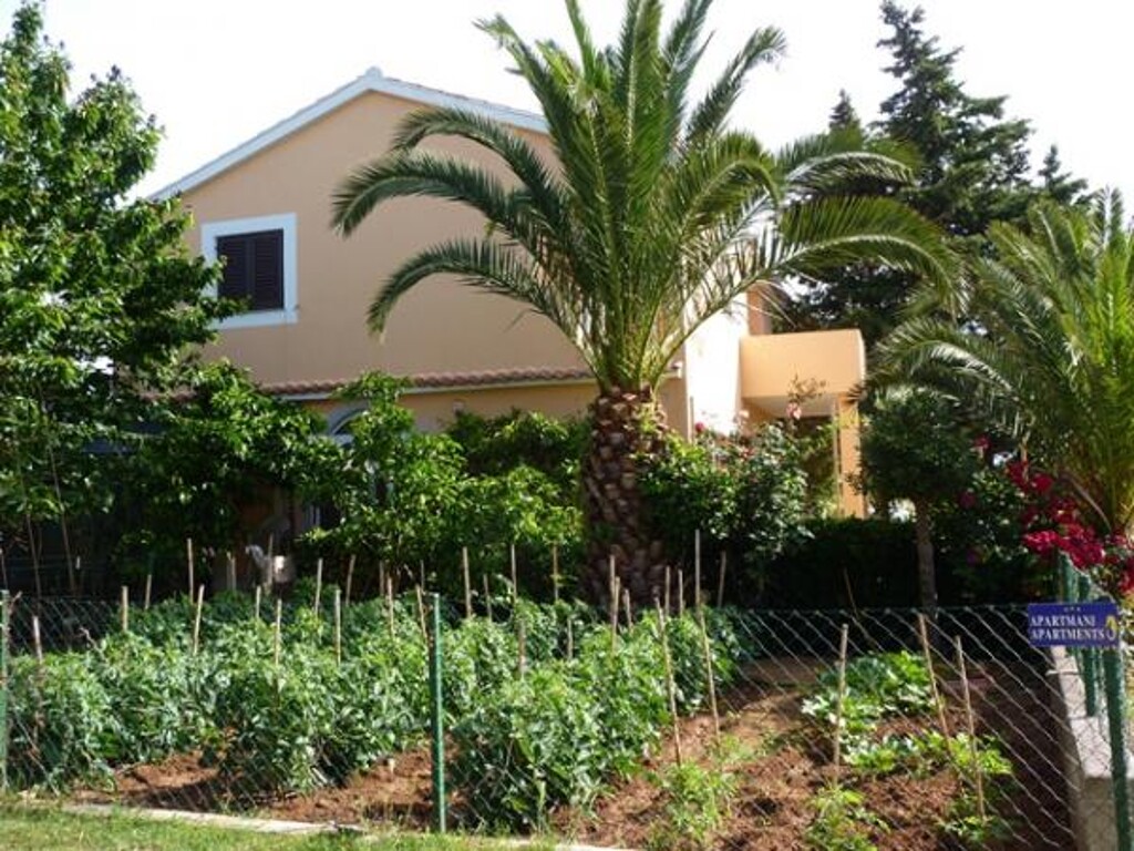Image 3812392 - 7