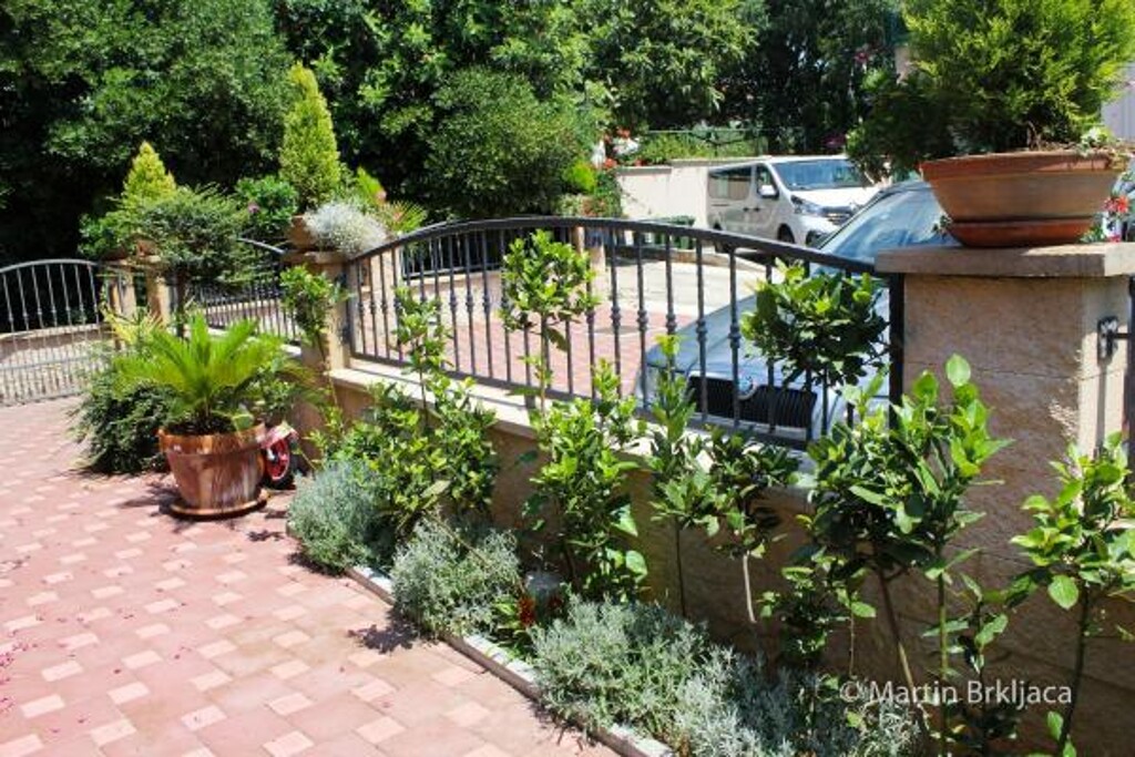 Image 3812065 - 7