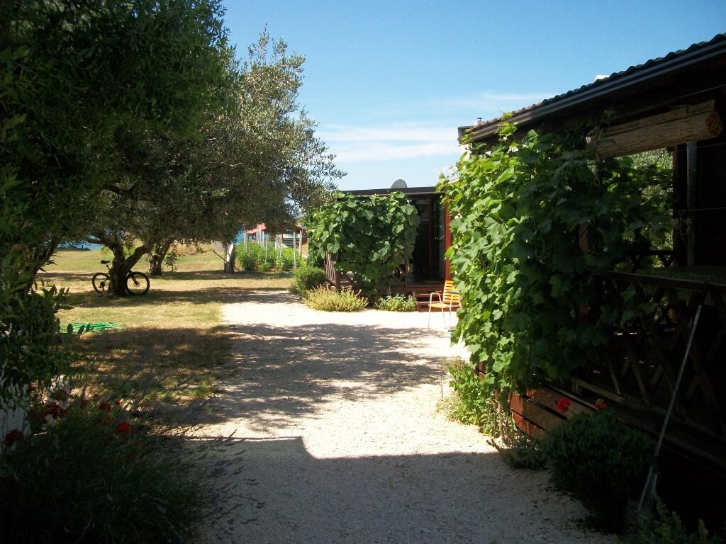 Image 3811055 - 13