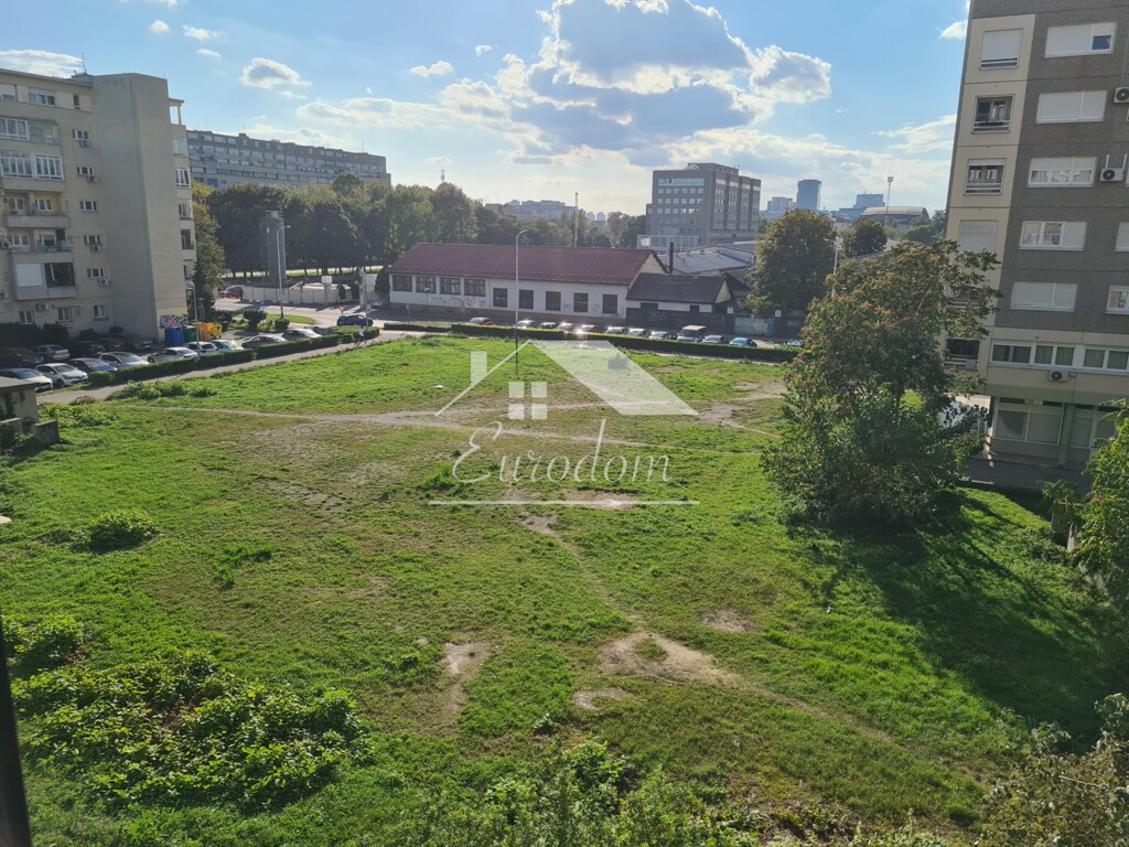Image 11