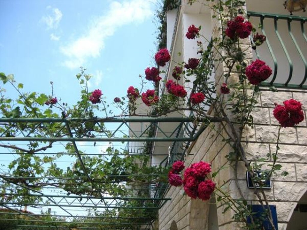 Image 3811489 - 1