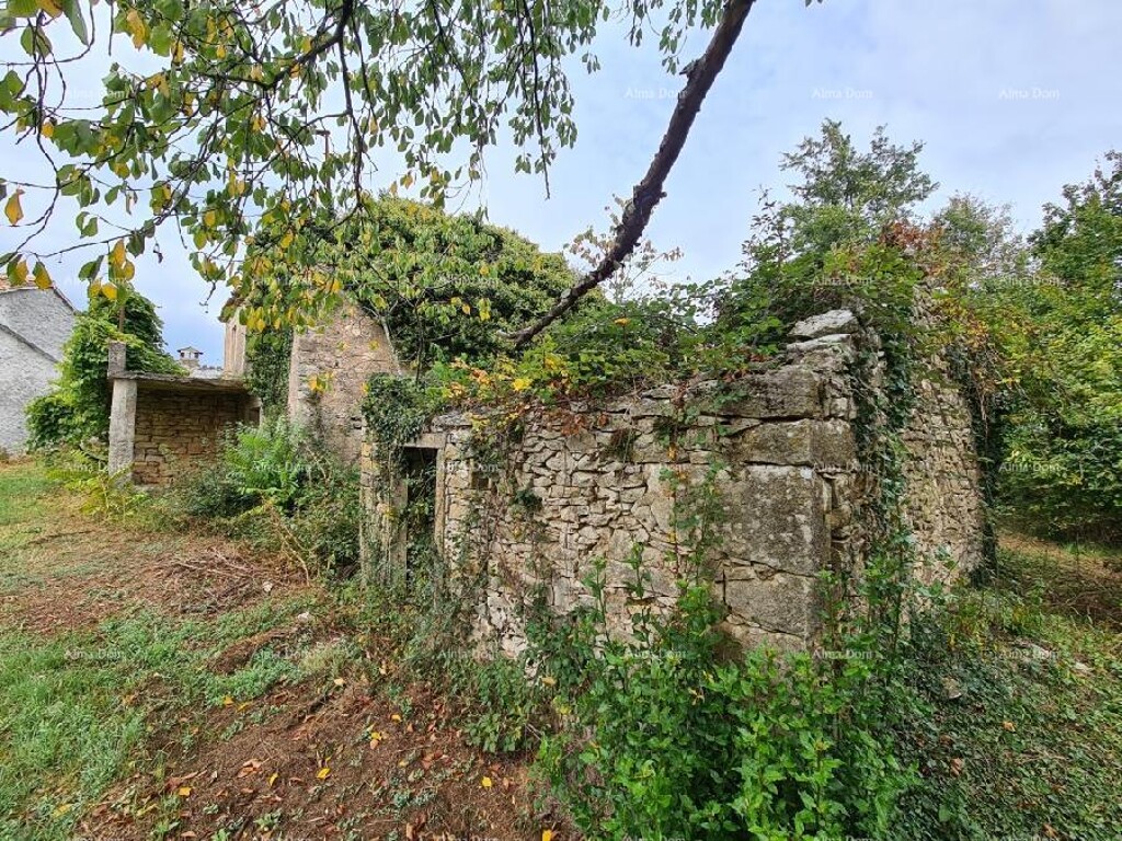 Image 15
