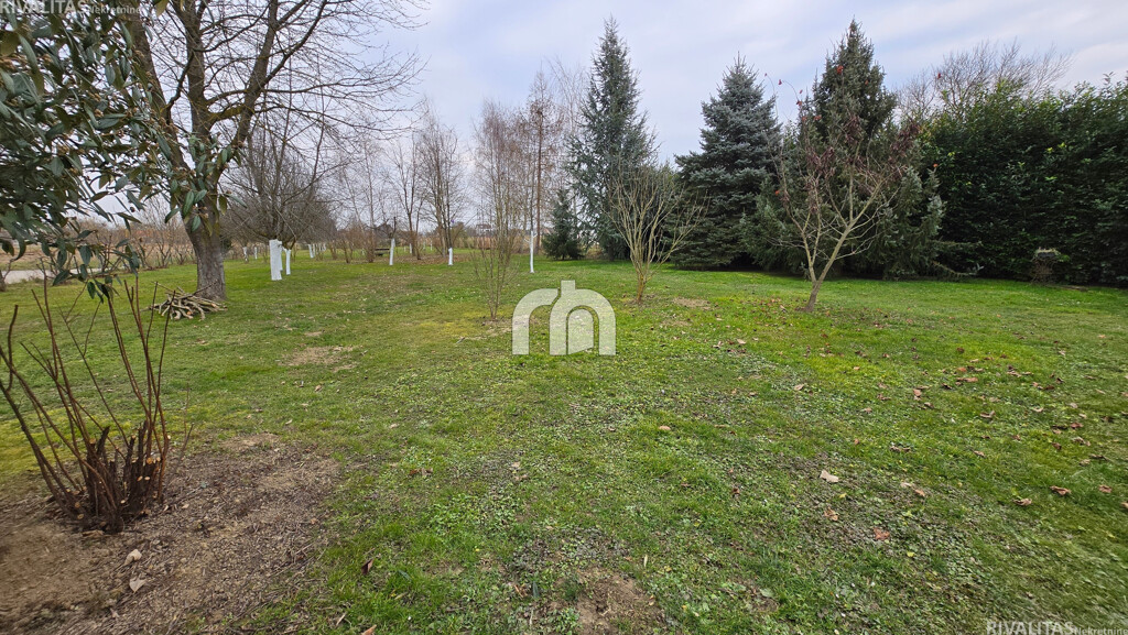 Image 22