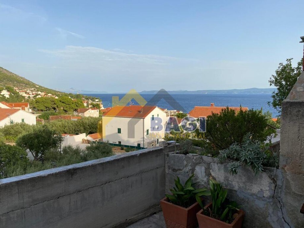 Image 13