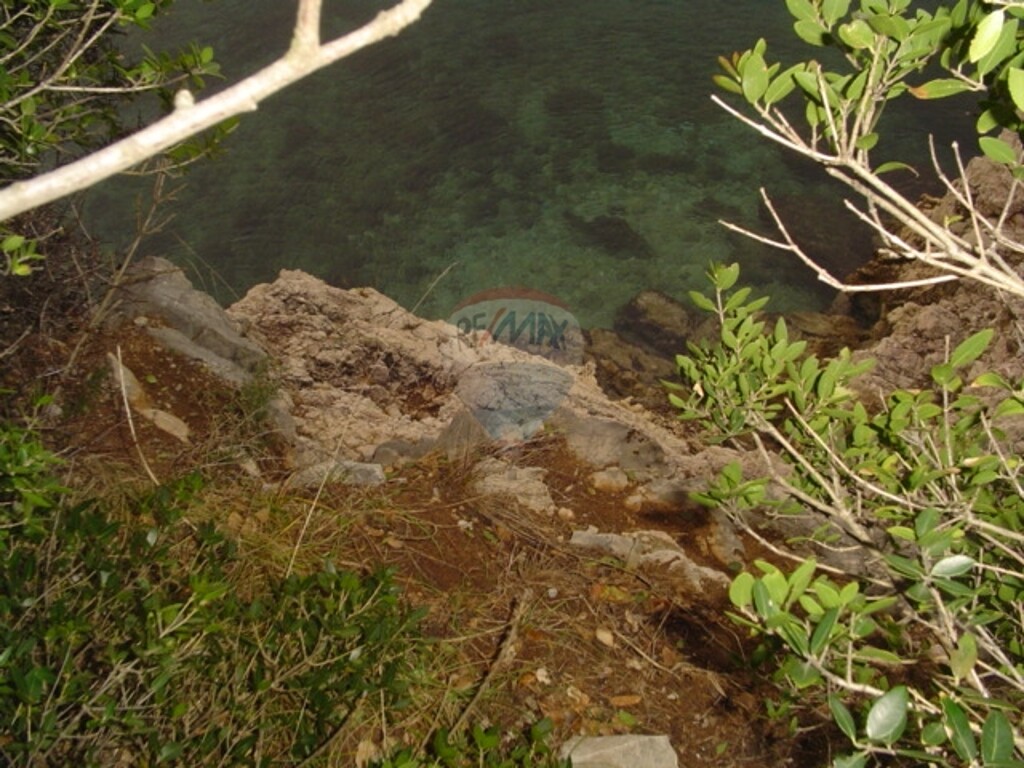 Image 5411107 - 2
