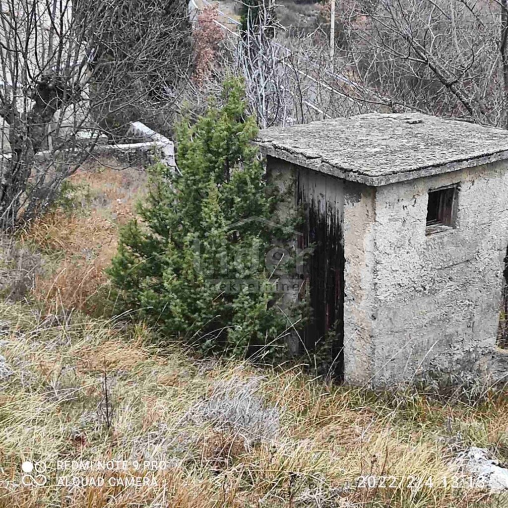 Image 12