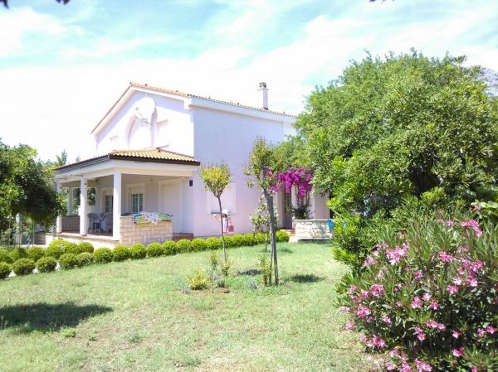 Image 3811241 - 31