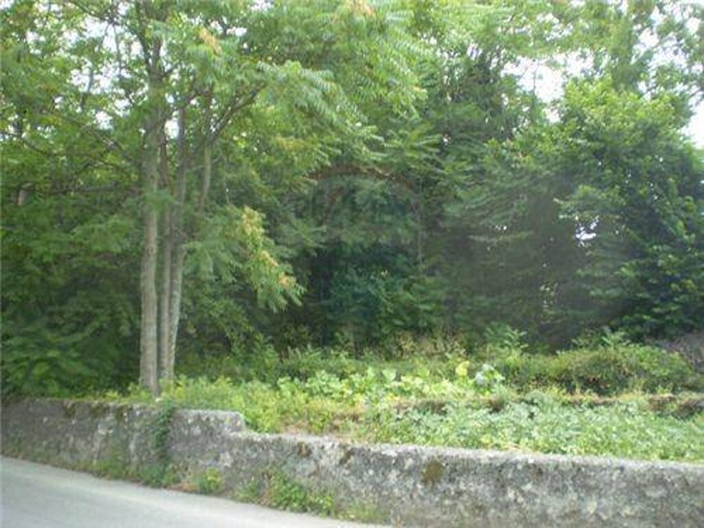 Image 5411422 - 4
