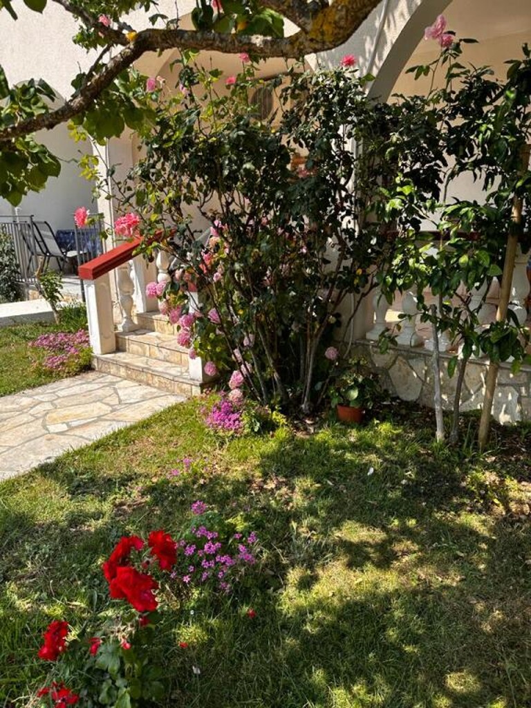 Image 18